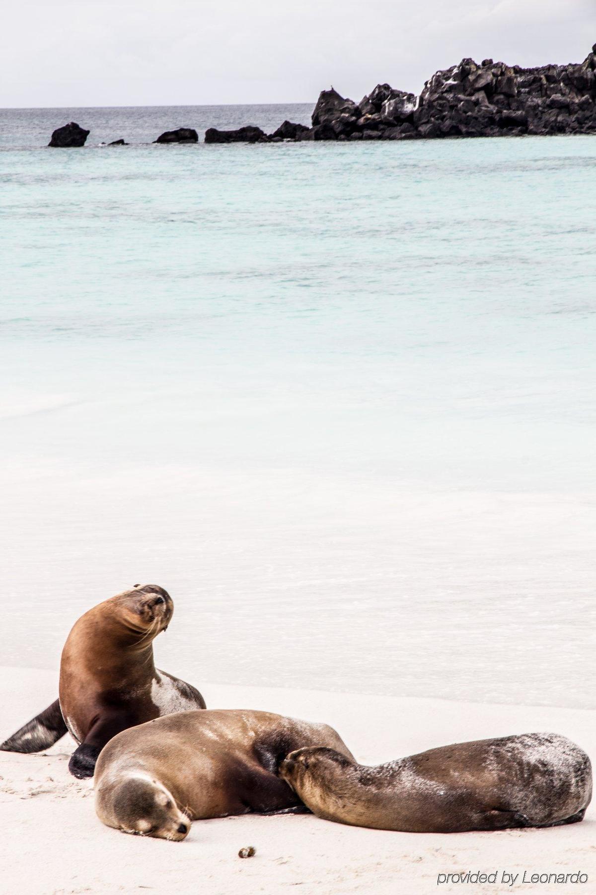 Finch Bay Galapagos Hotel Puerto Ayora  Zewnętrze zdjęcie